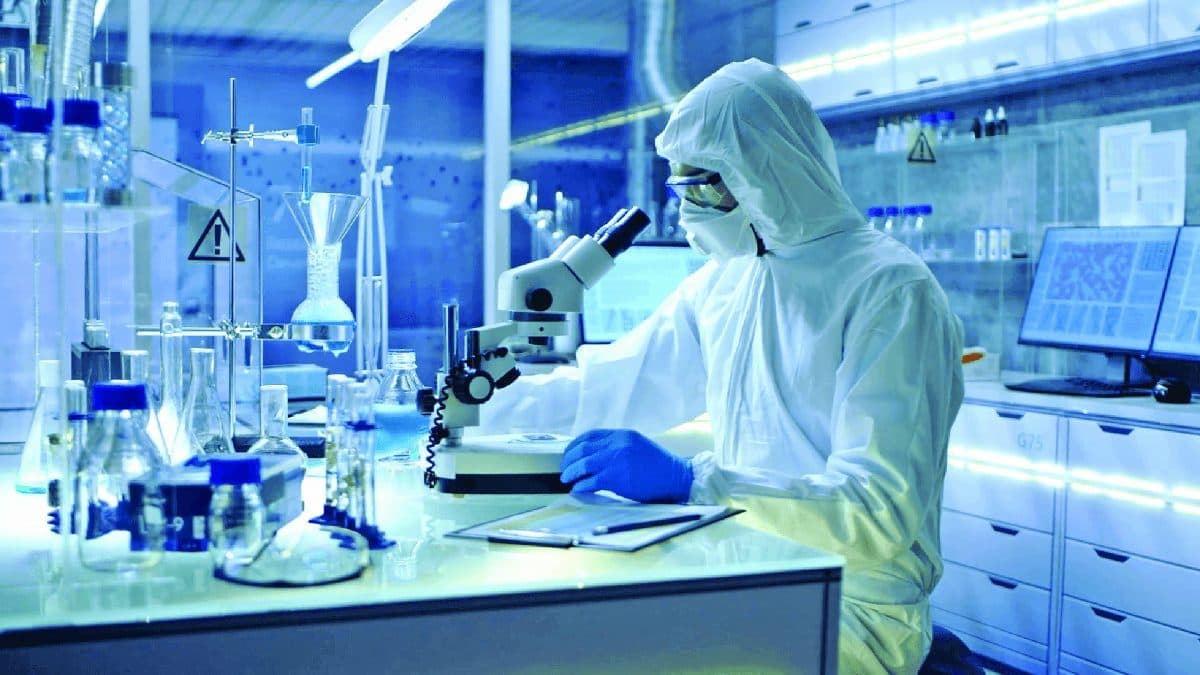 Bayer case study